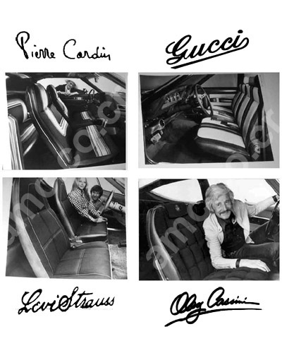 AMC Designer Interiors (American Motors)