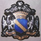 American Motors Oleg Cassini Emblem